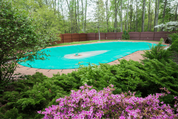 Inground swimming pool with a green cover and water pump surrounded by shrubs and pink azalea flowers on a spring day