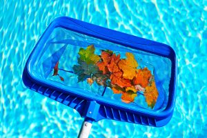 Pool skimmer with leaves | Pool Closing Time - How To Make It Easy