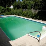 Green backyard pool